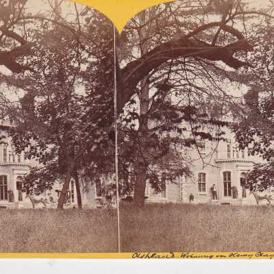 Stereoview