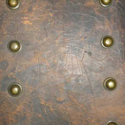 lid image with scales