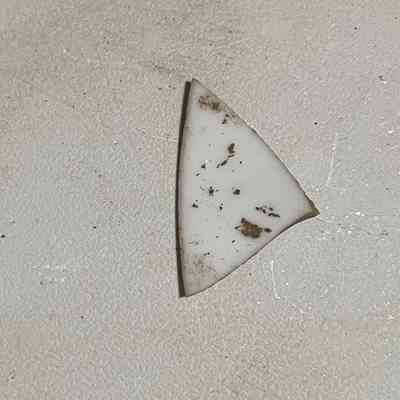 Porcelain shard