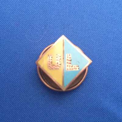 Pin, Lapel