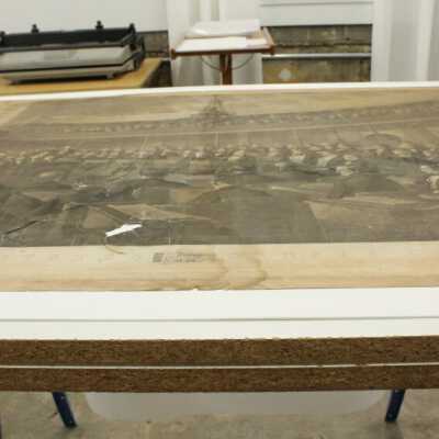 conservation 4