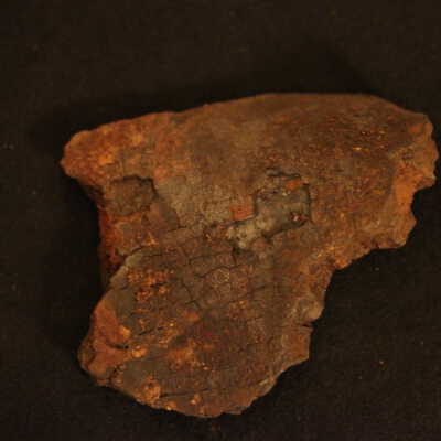 Fragment