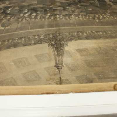 conservation 8