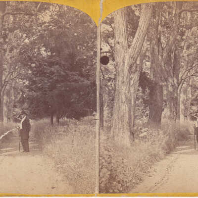 Favorite Walk of Henry Clay