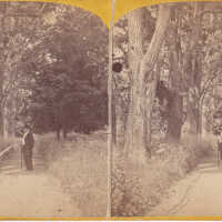 Favorite Walk of Henry Clay