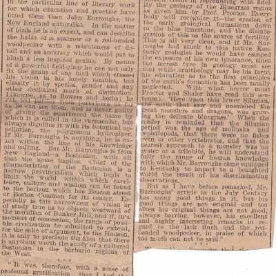 Clipping, Newspaper