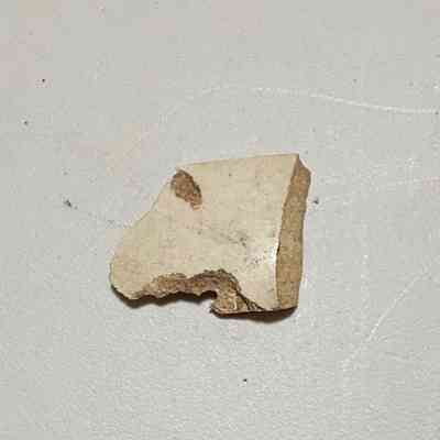 Ceramic fragment