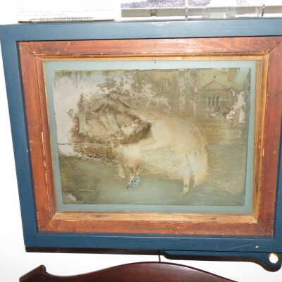 photo in light box.