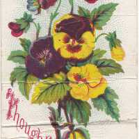 Card, Souvenir