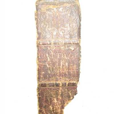 spine fragment