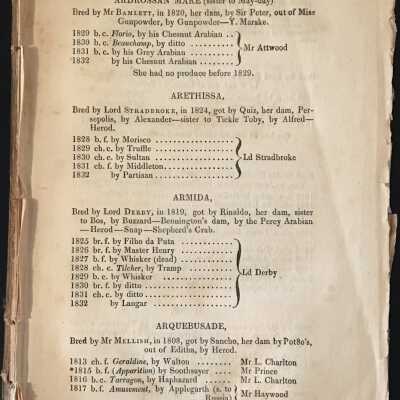 the general book containing pedigrees of race horses