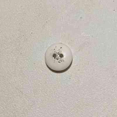 porcelain button