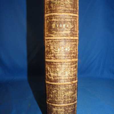 spine
