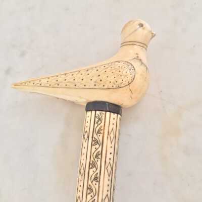 Cane