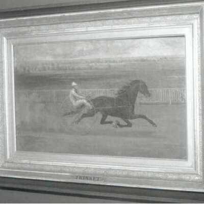 Trinket the Trotter