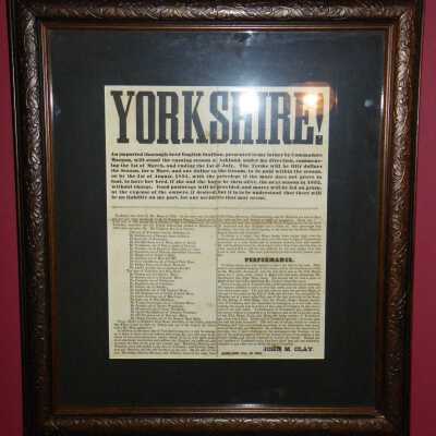 Broadside