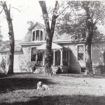 Photograph