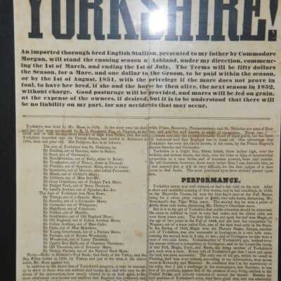Broadside Close Up