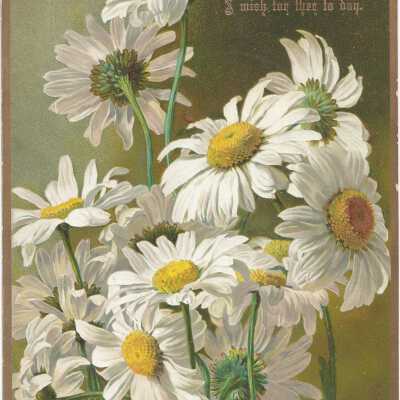 Card, Holiday
