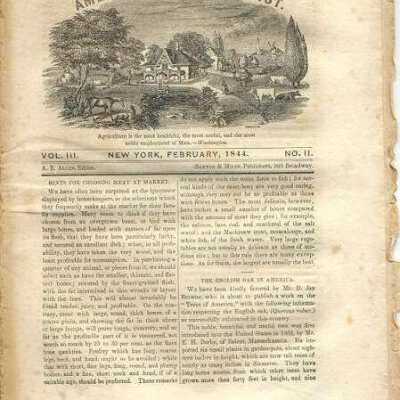 The American Agriculturalist