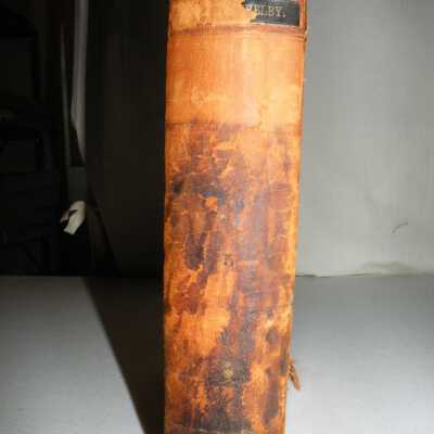 spine