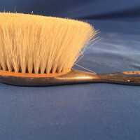 Brush