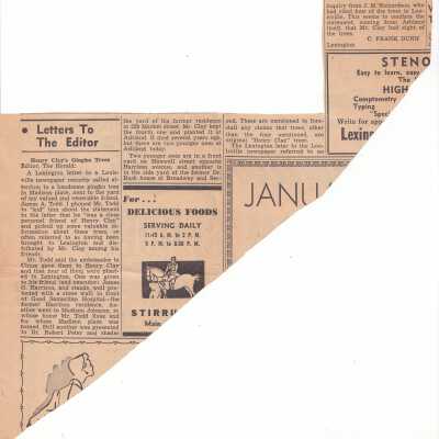 Clipping, Newspaper