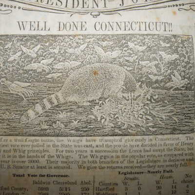 connecticut old coon engraving