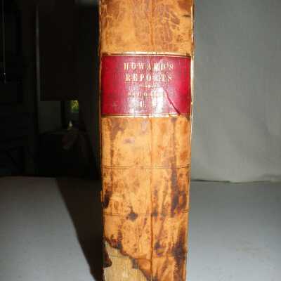 spine