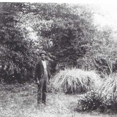 Photograph