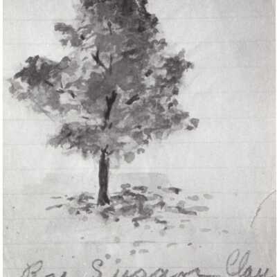 Drawing