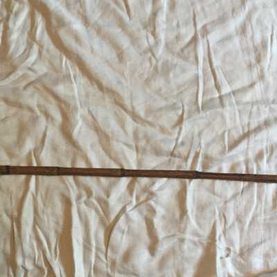 Cane
