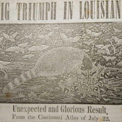 Triumph im Louisiana coon
