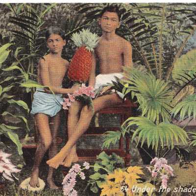 Postcard