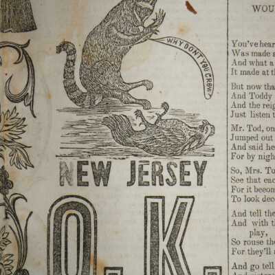 New Jersey OK coon