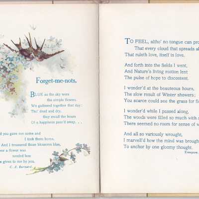 page 10-11