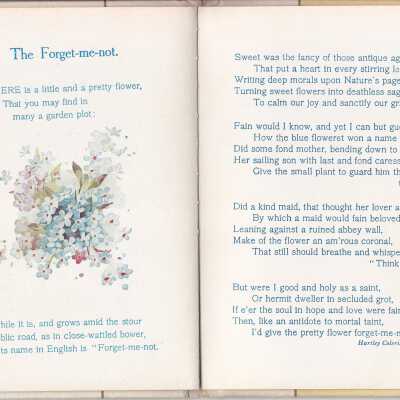 page 12-13