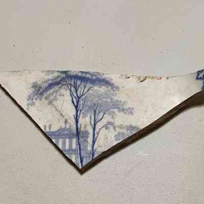Plate Fragment