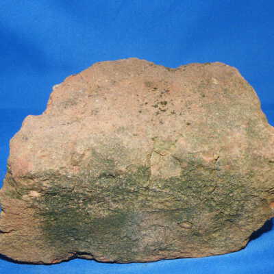 bottom