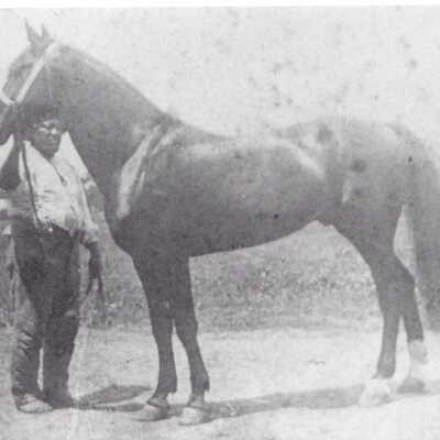 Photograph