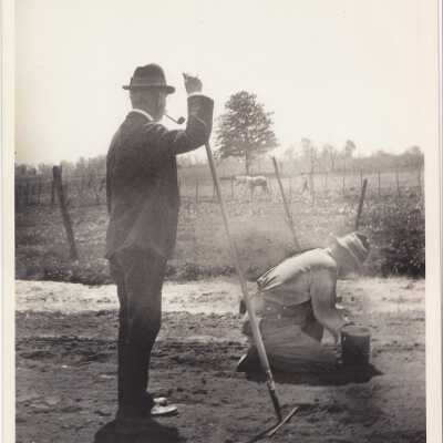 Photograph