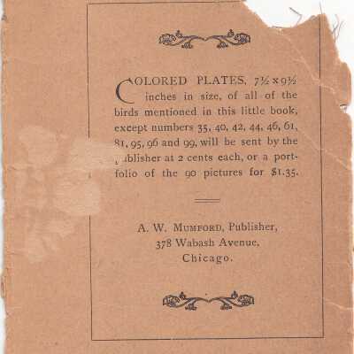 rear cover
