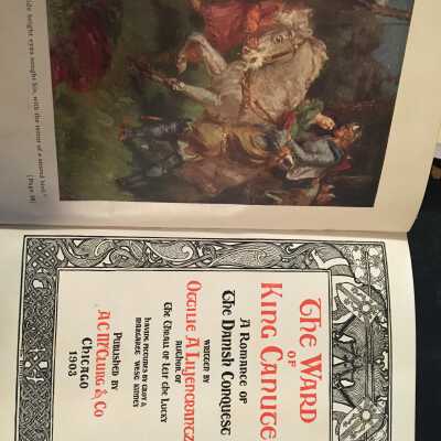 The Ward of King Canuce: A Romance of the Danish Conquest