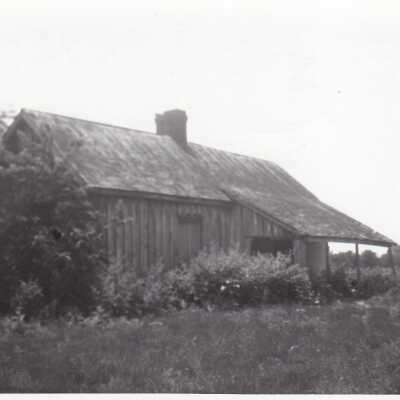 Photograph