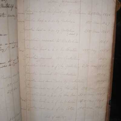 horse notes
