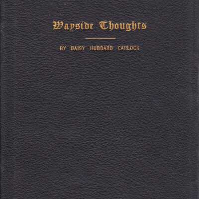 Wayside Thoughts