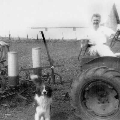 The Guthoffs Farming on the Stiegelmeier Farm