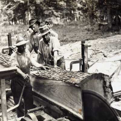 Hydraulic saw planing lumber