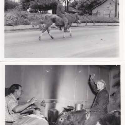 Herb Abrams on his bull