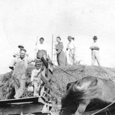 The Schneider Family Gathering Hay